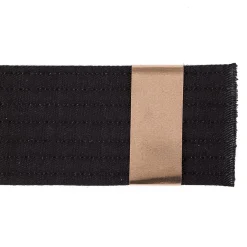Hot Century US Retail Belt Rank Stripes Roll