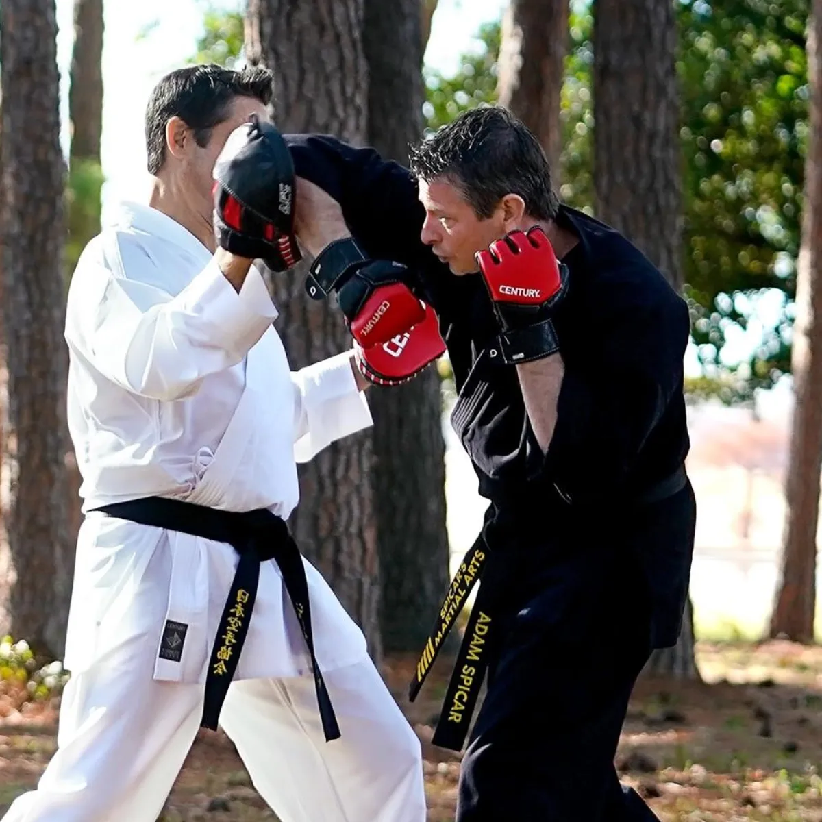 Discount Century US Retail Brave MMA Competition Glove