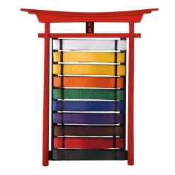 Century US Retail Budo Wall Mountable Belt Displays - 10 Level