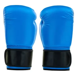 Hot Century Martial Arts Century Solid Heavy Bag Glove