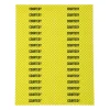 Century US Retail Courtesy Belt Stripe