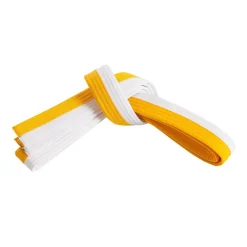 Discount Century US Wholesale Double Wrap Two Tone Belt