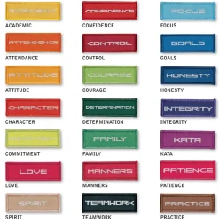 Century Martial Arts Life Skill Patch - Academic Control