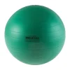 Hot Century Martial Arts PB Thera-Band Pro Series SCP Stability Ball - 65cm