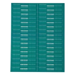 Discount Century US Retail Perserverance Belt Stripe