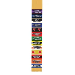 New Century US Retail Power Belt Stripe - Outstanding Attendance