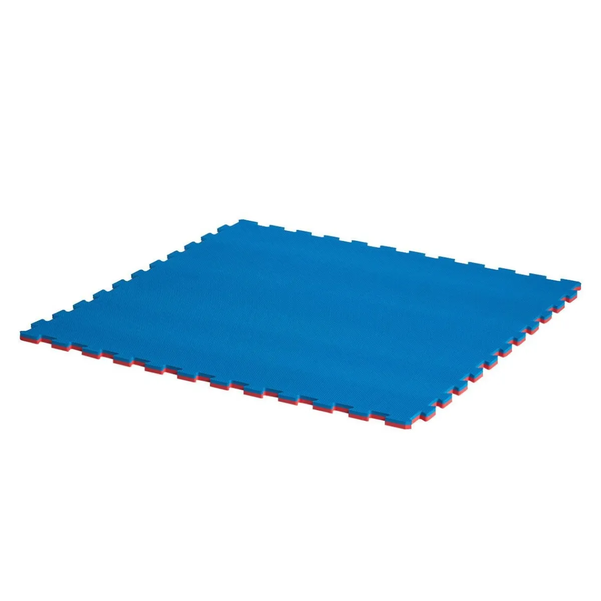 Century US Retail Reversible Puzzle Mat