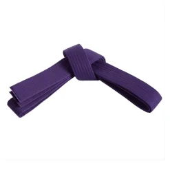 Century US Retail Single Wrap Solid Belt