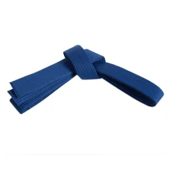 Century US Retail Single Wrap Solid Belt