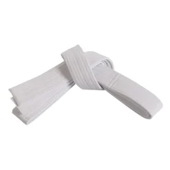 Century US Retail Single Wrap Solid Belt