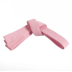 Century US Retail Single Wrap Solid Belt
