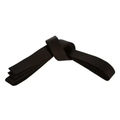 Century US Retail 2" Standard Deluxe Belt Black