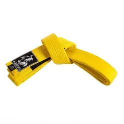 Discount Century US Retail Youth Jiu-Jitsu Belt