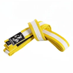 Sale Century US Retail Youth Jiu-Jitsu Striped Belt